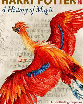 哈利·波特：一段魔法史