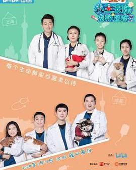 小主安康－寵物醫院2