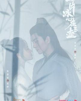 一片冰心在玉壺