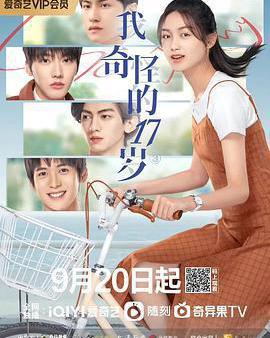 我奇怪的17歲³