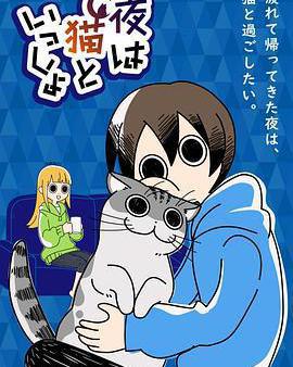 關於養貓我一直是新手