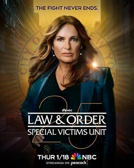 法律與秩序：特殊受害者 第二十五季