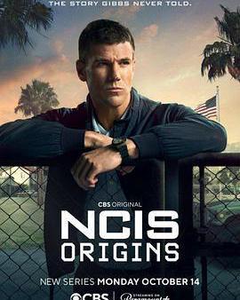 海軍罪案調查處：溯源 第二季