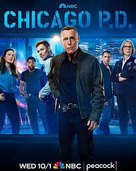 芝加哥警署 第十三季