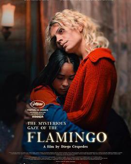 弗拉明戈的神祕眼神