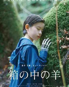 盒子裡的羊