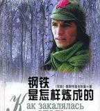 鋼鐵是怎樣煉成的