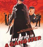 我的老婆是大佬