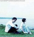 不需要愛的夏天