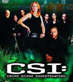 犯罪現場調查 第五季