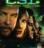 犯罪現場調查 第六季