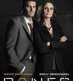 識骨尋蹤 第一季