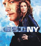 犯罪現場調查：紐約 第二季