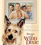 都是戴茜惹的禍