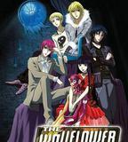 完美小姐進化論