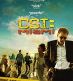 犯罪現場調查：邁阿密 第五季