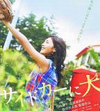 挎斗摩托車裡的狗