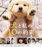 狗狗與我的十個約定