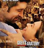 實習醫生格蕾 第五季