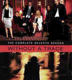 尋人密探組 第七季