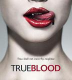 真愛如血 第一季