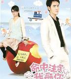 命中注定我愛你