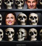 識骨尋蹤 第四季