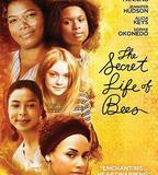 蜜蜂的祕密生活