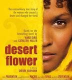 沙漠之花