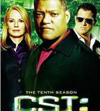 犯罪現場調查 第十季