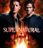 邪惡力量 第五季