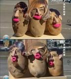 流言終結者 第七季