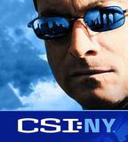 犯罪現場調查：紐約 第六季