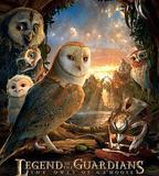 貓頭鷹王國：守衛者傳奇