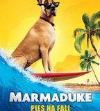 大丹麥狗馬默杜克