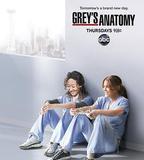 實習醫生格蕾 第八季