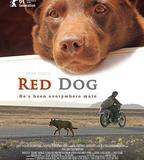紅犬歷險記
