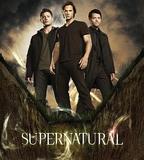 邪惡力量 第七季