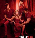 真愛如血  第四季