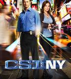 犯罪現場調查：紐約 第八季