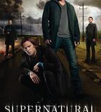 邪惡力量 第八季