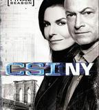 犯罪現場調查：紐約 第九季