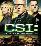 犯罪現場調查 第十三季