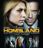 國土安全 第二季