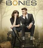 識骨尋蹤 第八季