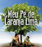 我親愛的甜橙樹