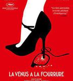 穿裘皮的維納斯
