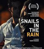 雨中的蝸牛