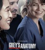 實習醫生格蕾 第十季