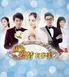 因爲愛情有多美